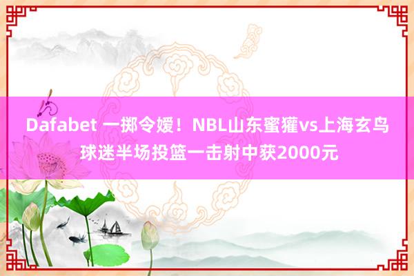 Dafabet 一掷令嫒！NBL山东蜜獾vs上海玄鸟 球迷半场投篮一击射中获2000元