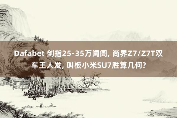 Dafabet 剑指25-35万阛阓, 尚界Z7/Z7T双车王人发, 叫板小米SU7胜算几何?