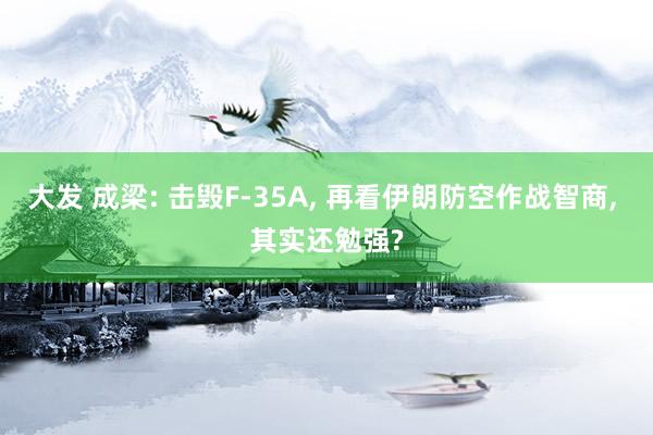大发 成梁: 击毁F-35A, 再看伊朗防空作战智商, 其实还勉强?