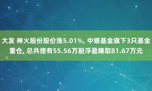 大发 神火股份股价涨5.01%, 中银基金旗下3只基金重仓, 总共捏有55.56万股浮盈赚取81.67万元