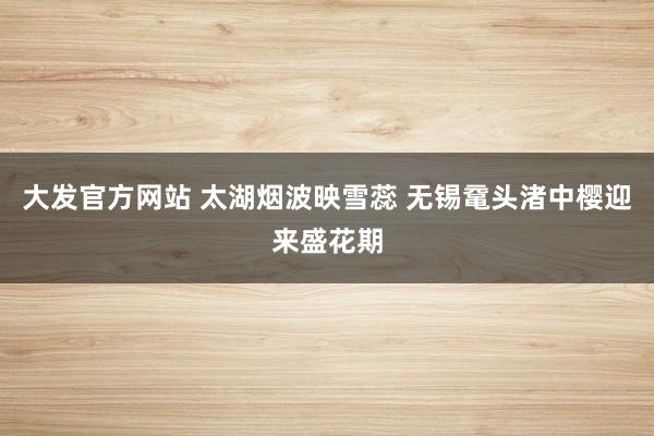 大发官方网站 太湖烟波映雪蕊 无锡鼋头渚中樱迎来盛花期