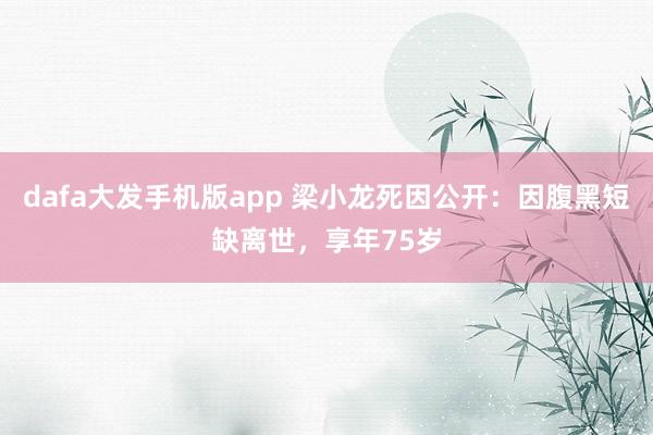 dafa大发手机版app 梁小龙死因公开：因腹黑短缺离世，享年75岁
