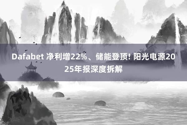 Dafabet 净利增22%、储能登顶! 阳光电源2025年报深度拆解