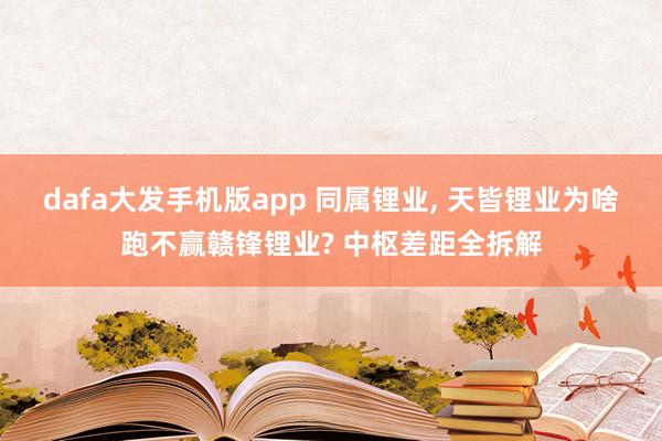dafa大发手机版app 同属锂业, 天皆锂业为啥跑不赢赣锋锂业? 中枢差距全拆解