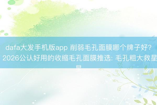 dafa大发手机版app 削弱毛孔面膜哪个牌子好? 2026公认好用的收缩毛孔面膜推选: 毛孔粗大救星