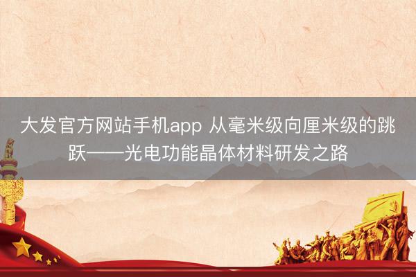 大发官方网站手机app 从毫米级向厘米级的跳跃——光电功能晶体材料研发之路