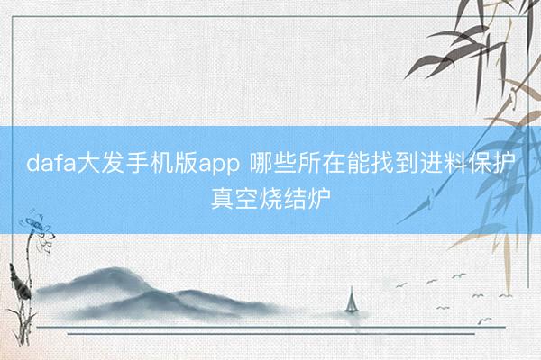 dafa大发手机版app 哪些所在能找到进料保护真空烧结炉