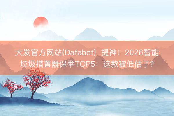 大发官方网站(Dafabet)  提神！2026智能垃圾措置器保举TOP5：这款被低估了？