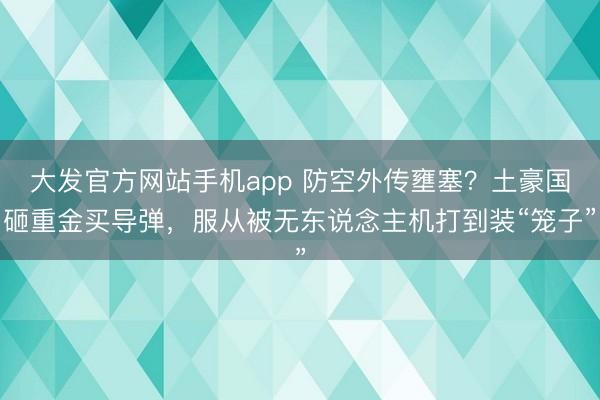 大发官方网站手机app 防空外传壅塞？土豪国砸重金买导弹，服从被无东说念主机打到装“笼子”
