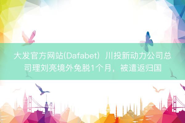 大发官方网站(Dafabet)  川投新动力公司总司理刘亮境外兔脱1个月，被遣返归国